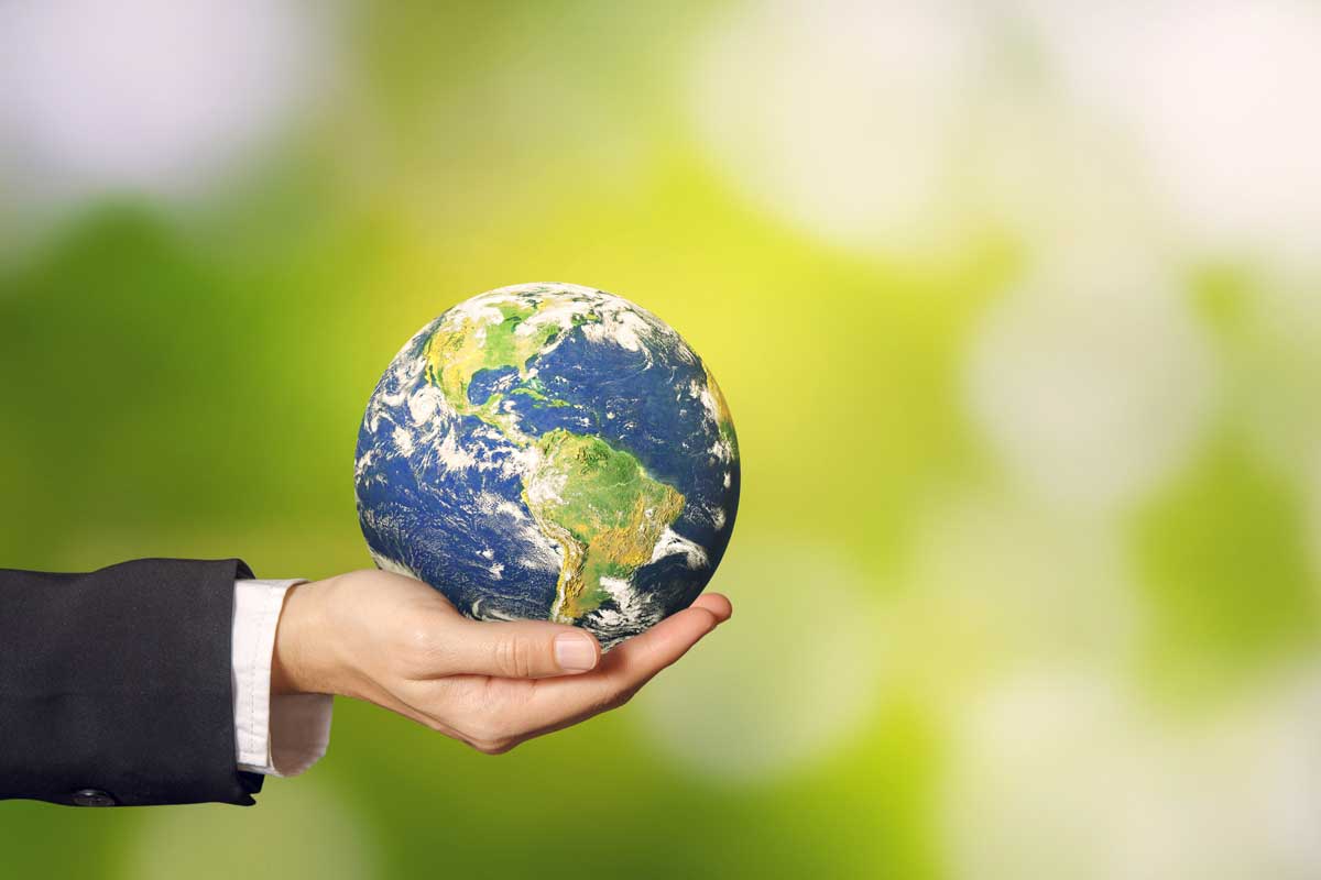 Environmental Management